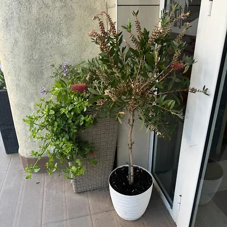 Apartamento At Sunny Sunny Beach