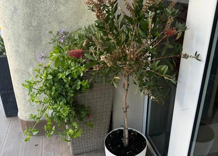 Апартамент At Sunny Слънчев бряг